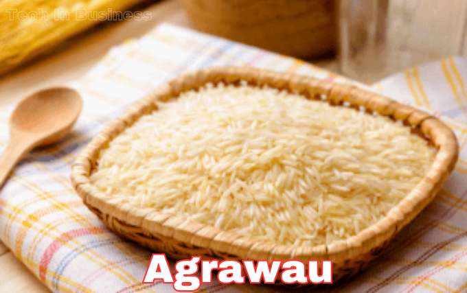 Unraveling the Mystique of Agrawau: A Comprehensive Guide - Tech In Business