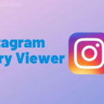 Instagram Story Viewer Tool