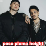 peso pluma height