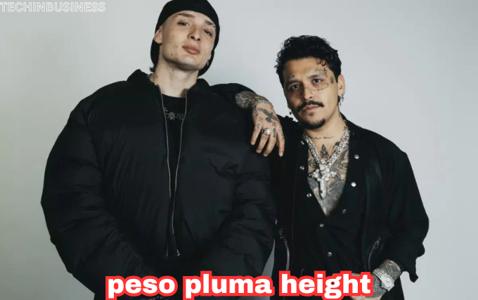 peso pluma height