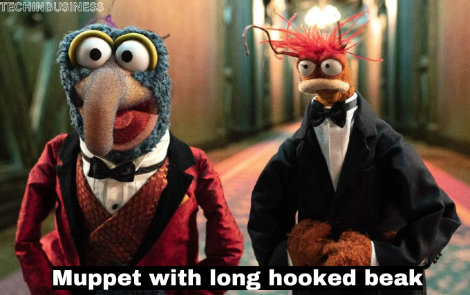 muppet with long hooked beak